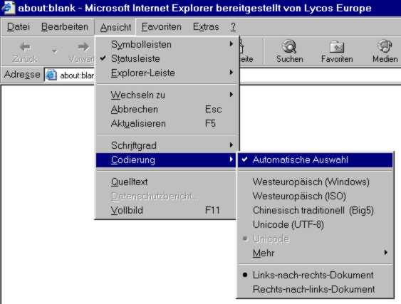 Internet Explorer einstellen (2)